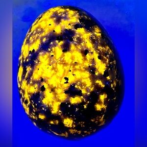 Fluorescent Sodalite/ UV sodalite/ yooperlite Egg